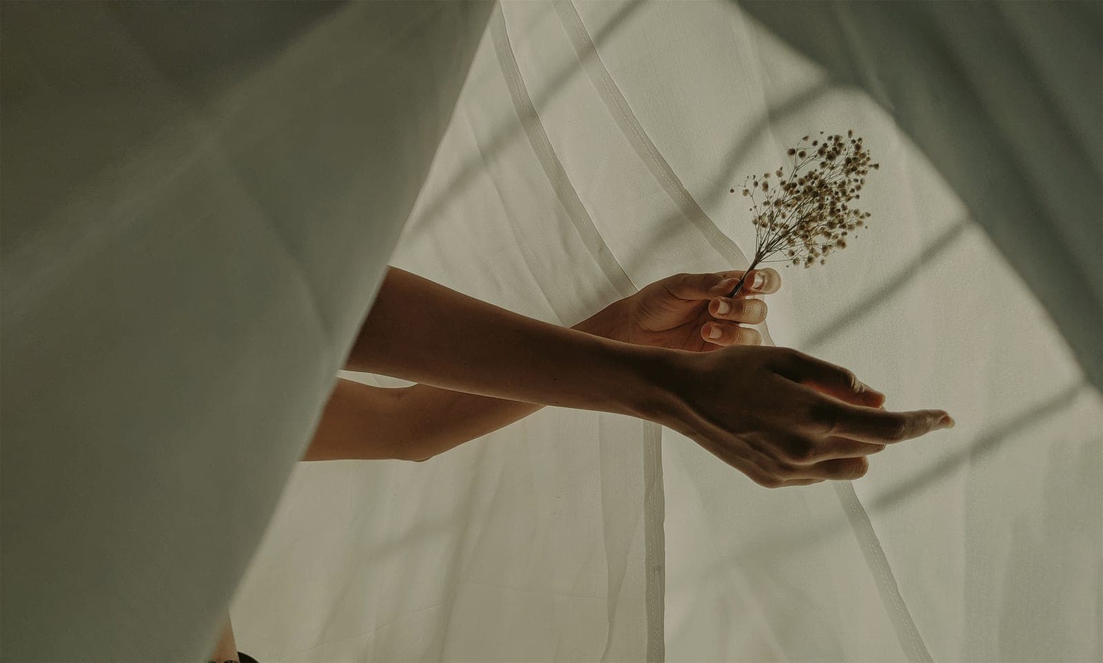 Hands holding a small sprig of dried flowers against linen